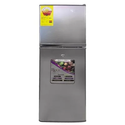 Roch RFR-580-DT-I Double Door Refrigerator