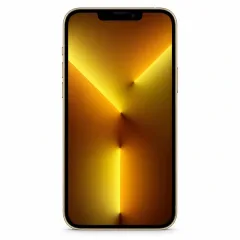 Apple iPhone 13 Pro Max – Back